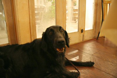 c0050400_17374660.jpg