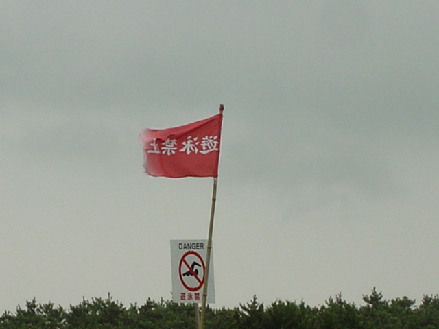 e0028401_0173576.jpg