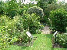 e0046112_2244898.jpg