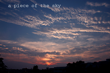 d0026414_14244954.jpg