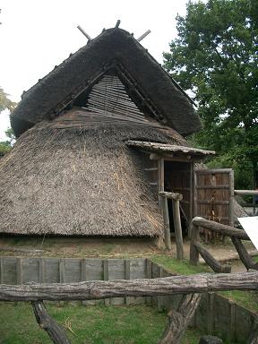 c0005619_0542995.jpg