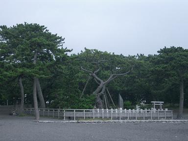 c0005619_059527.jpg