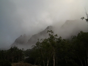 b0008526_03329.jpg