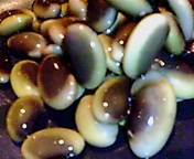 e0002541_2132077.jpg