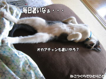 b0041182_1413272.jpg