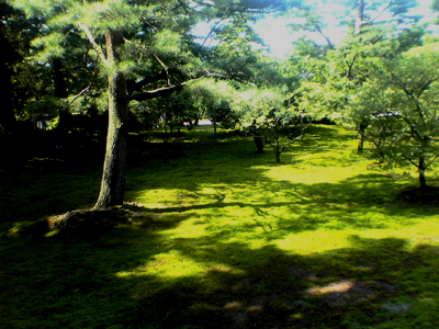 e0030085_19523540.jpg