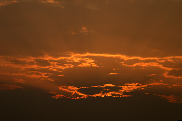 b0067789_21222641.jpg