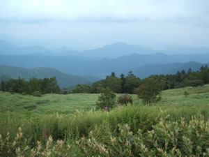 d0044093_21333091.jpg