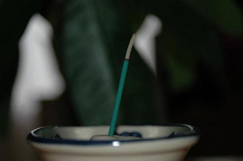 b0037498_11293569.jpg