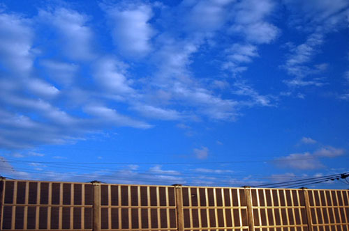 b0037498_11341960.jpg