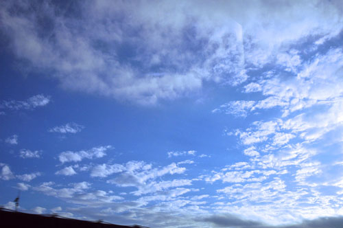 b0037498_11345969.jpg
