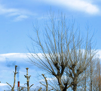 b0037498_1140249.jpg