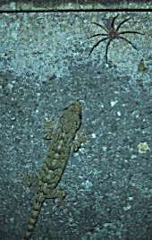 c0056903_1944090.jpg