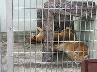 d0046905_16384236.jpg
