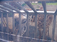 d0046905_16412749.jpg