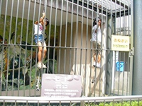 d0046905_16523644.jpg