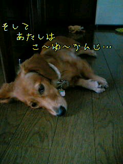 d0046905_16565991.jpg