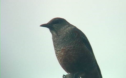 c0047906_20334372.jpg