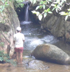 d0062009_10503271.jpg