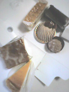 d0066821_0403834.jpg