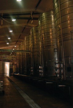 a0020929_22535320.jpg