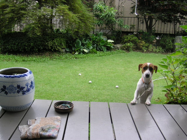 c0035931_012173.jpg
