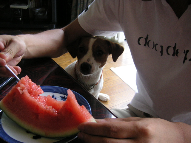 c0035931_0124114.jpg
