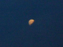 c0004744_113122.jpg