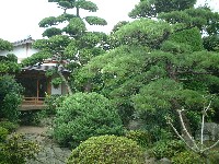 d0023346_2034573.jpg