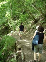 c0068149_604039.jpg