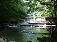 c0068149_64240.jpg