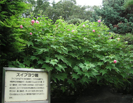 c0069552_17463589.jpg