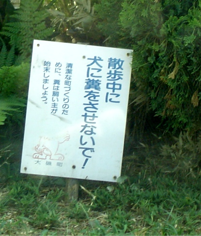 b0024266_10412799.jpg