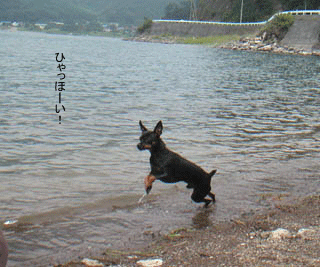 c0012571_23472665.gif