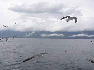 c0023172_10244270.jpg