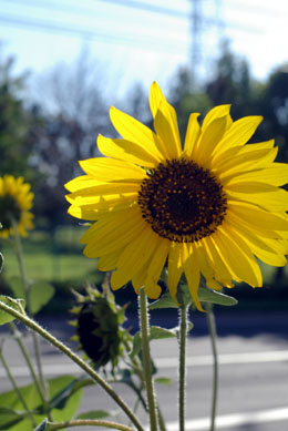 d0034980_229517.jpg