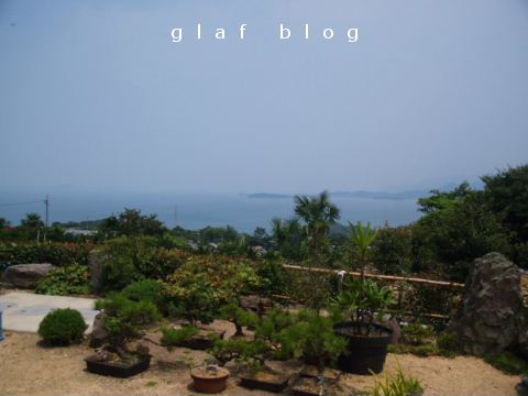 b0056790_7562339.jpg