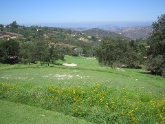 b0043897_945699.jpg