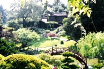 c0062603_13223296.jpg