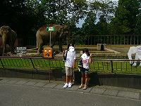 d0046905_12122331.jpg