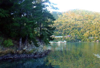 a0020929_10519100.jpg