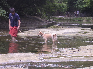 c0065643_1119337.jpg