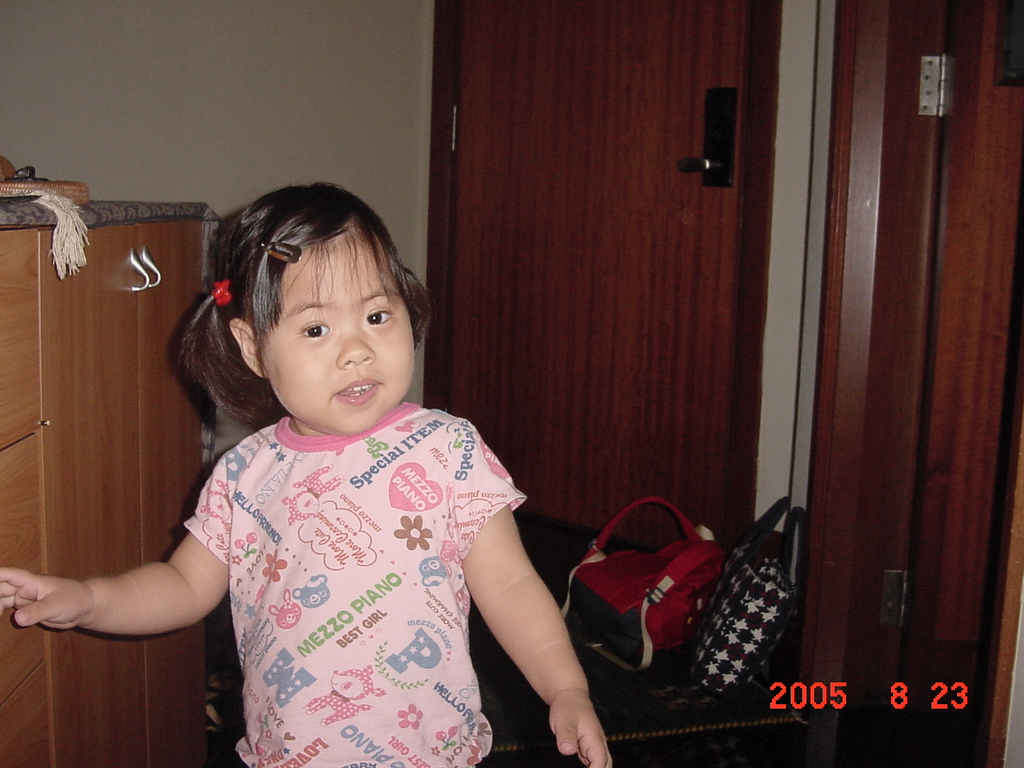d0065459_4381792.jpg