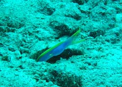 b0062363_17255471.jpg