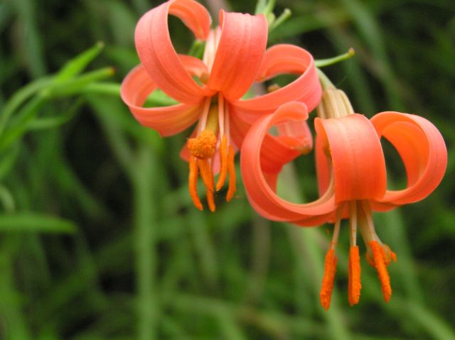 c0042869_19381578.jpg