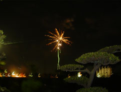 d0032470_055750.jpg