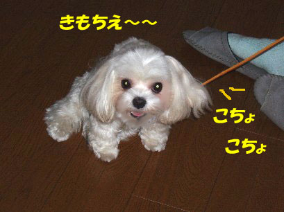 b0060071_3413859.jpg