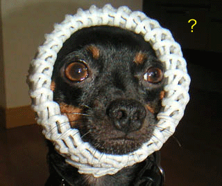 c0012571_9581456.gif