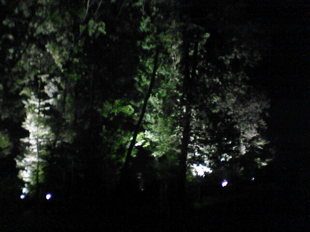 c0069380_14442589.jpg