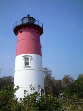 b0001284_948620.jpg